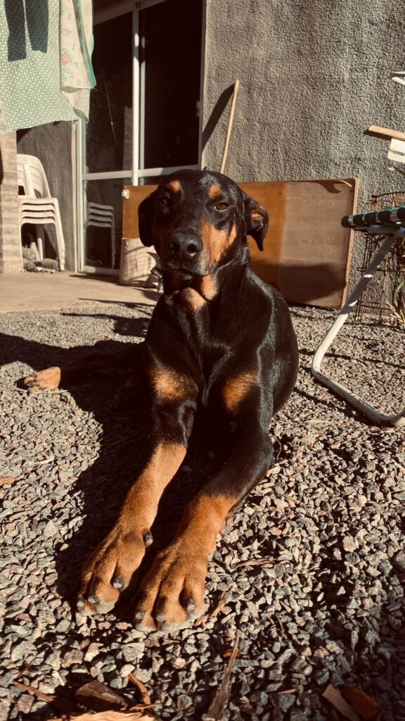 Bienvenidos a mi página